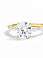 New In